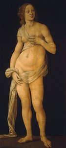 Vénus de Lorenzo di Credi
