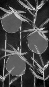 Formas botânicas abstratas de Lori Ann Folz