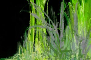 Folhagem Verde Abstrata de Lori Ann Folz