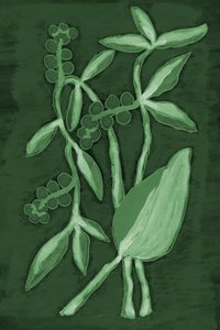 Tons botânicos de verde