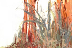 Abstrato de juncos coloridos de Lori Ann Folz