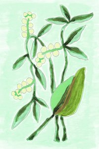 Vegetação botânica fresca de Lori Ann Folz
