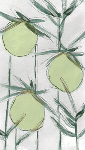 Produtos Botânicos Verdes Frescos