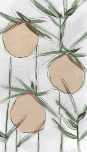 Pêssegos frescos com um toque pictórico de Lori Ann Folz