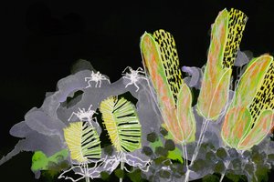 Jardim Noturno Luminoso de Lori Ann Folz