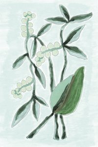 Aquarela Botânica Verde de Lori Ann Folz