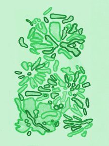 Formas Verdes Orgânicas de Lori Ann Folz