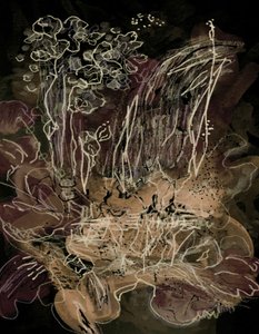 Orchid Bloom Midnight Mocha de Lori Ann Folz