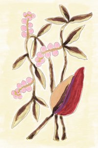 Pink Berry Botanicals de Lori Ann Folz