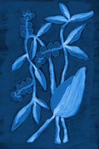 Vagem 1 Azul Escuro