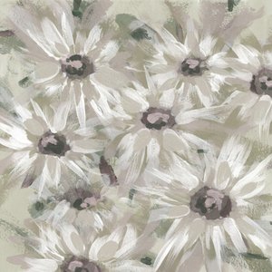 Flores de margarida delicadas de Lori Ann Folz