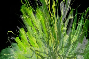 Abstrato em Verde Vibrante de Lori Ann Folz
