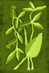 Folhagem verde vibrante de Lori Ann Folz