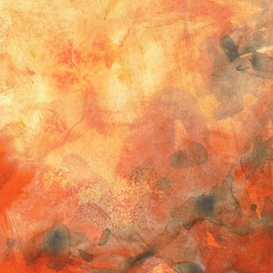 Texturas abstratas quentes de Lori Ann Folz