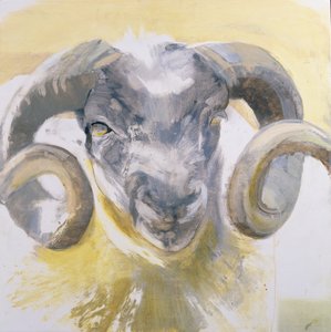 Long Horn Sheep (mídia mista no painel gesso)