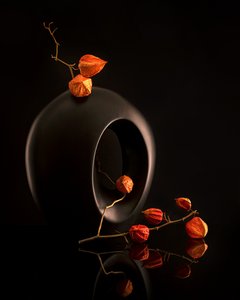 Vaso Preto da Orange Botanicals