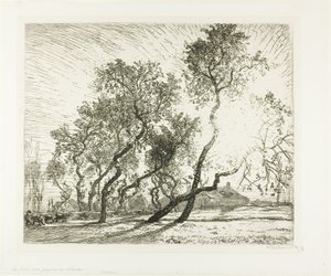 Quinta com choupos holandeses de Louis Auguste Lepère