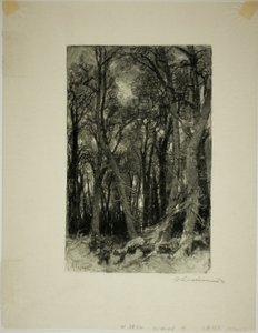 inverno: Bas-Bréau