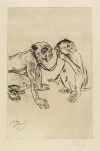 Anatomia comparativa de Louis Auguste Mathieu Legrand