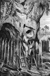 Plantei dez filas de paliçadas. gravando depois do desenho de M. de Sainson para o Livro de Daniel Defoe (De foe) "Robinson Crusoe" edição francesa de 1837.