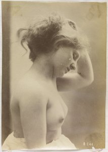 Estudo de uma mulher nua, busto visto de lado, a segurar o cabelo de Louis Bonnard