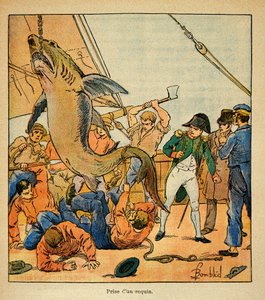 Ilustração de Bombled Louis (1862-1927) do livro "The Memorial of St. Helene" do Conde Emmanuel de Las Cases (1766-1842): O Imperador Napoleão assiste à captura de um tubarão a bordo da Northumberland, Coleção Particular de Louis Charles Bombled