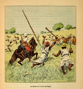 A Guerra em Madagáscar - História das Expedições Francesas de 1885-1895 por Henri Galli dit Galllichet (1854-1922), ilustrada por Louis Bombled (1862-1927): A caça de bois selvagens em Madagáscar em 1895, Coleção Particular de Louis Charles Bombled