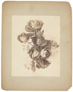 Estúdios Tiffany, c.1898-1920 (fotografia a preto e branco) de Louis Comfort Tiffany
