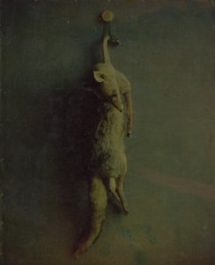 Raposa, ca. 1870. de Louis Ducos du Hauron