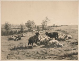 As ovelhas de Louis Emmanuel Soulange Teissier