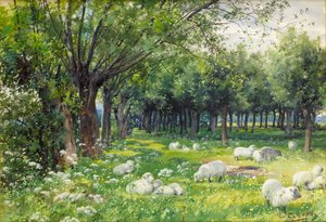 Ovelhas em um pomar na primavera