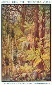 A Vegetação Gigantesca da Era Carbonífera (litografia a cores)