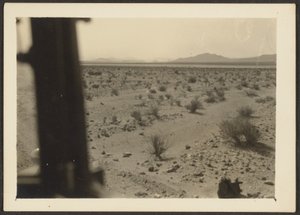 [Plantas do deserto de Amargosa]. de Louis Fleckenstein