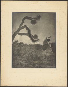 Dança Apache