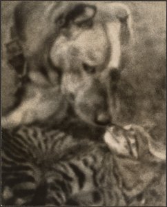 [Gato e Cão] de Louis Fleckenstein