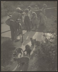 [Crianças e gatos] de Louis Fleckenstein