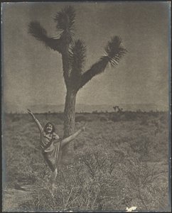 [Dançarina em Joshua Tree] de Louis Fleckenstein