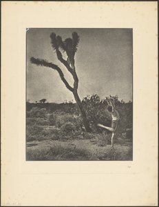 [Dançarina em Joshua Tree] de Louis Fleckenstein