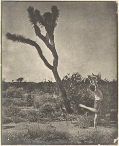 [Bailarino em Joshua Tree] de Louis Fleckenstein
