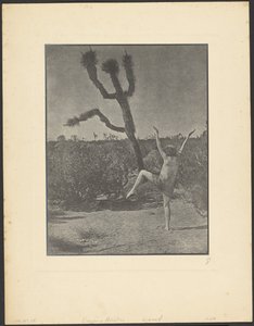 Mestre de dança de Louis Fleckenstein