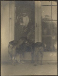 [Cães à porta]. de Louis Fleckenstein