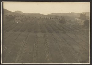 [Paisagem agrícola]. de Louis Fleckenstein