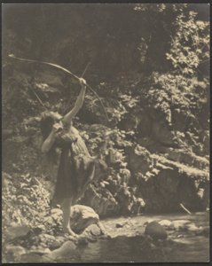 [Arqueira no bosque]