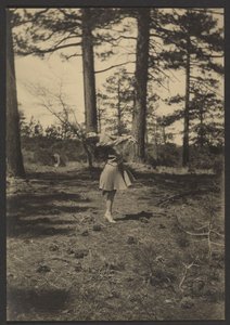 [Bailarina numa clareira de pinheiros] de Louis Fleckenstein