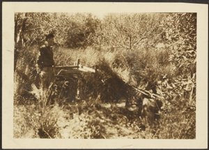 [Figura Paisagem]. de Louis Fleckenstein
