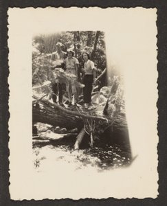 [Figuras no bosque]. de Louis Fleckenstein