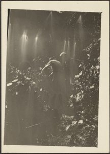 [Figuras no bosque]. de Louis Fleckenstein