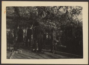 [Figuras no bosque]. de Louis Fleckenstein
