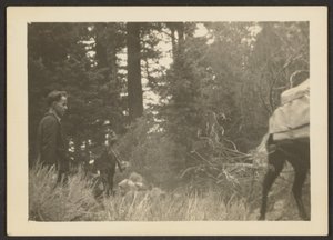 [Figuras numa paisagem arborizada]. de Louis Fleckenstein