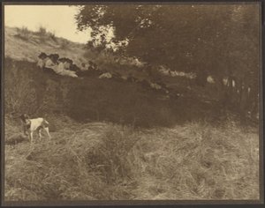[Retrato de grupo a descansar num campo com um cão] de Louis Fleckenstein